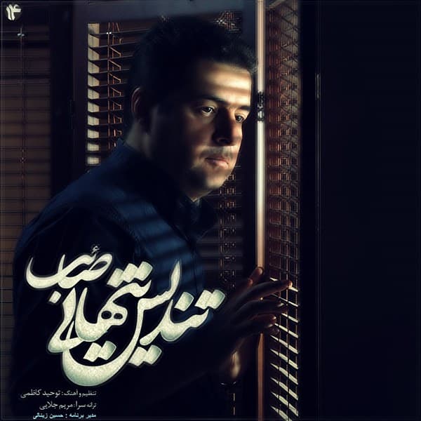 Tandis Tanhaee - Saeb