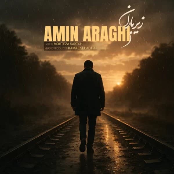 Amin Araghi