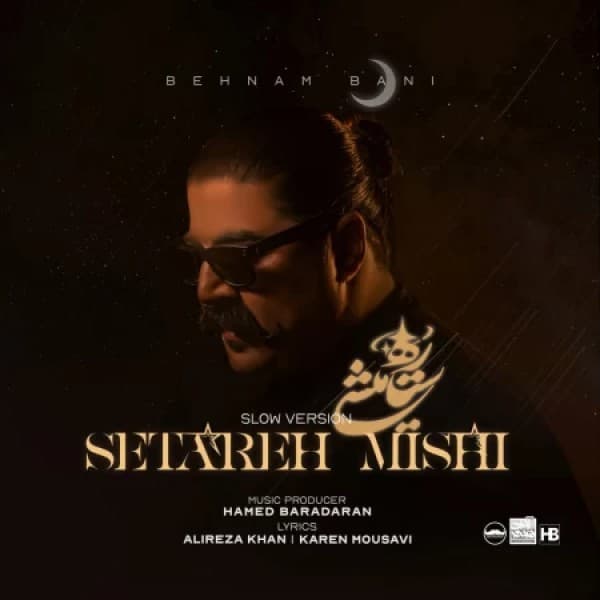 Setareh Mishi (Slow Version)